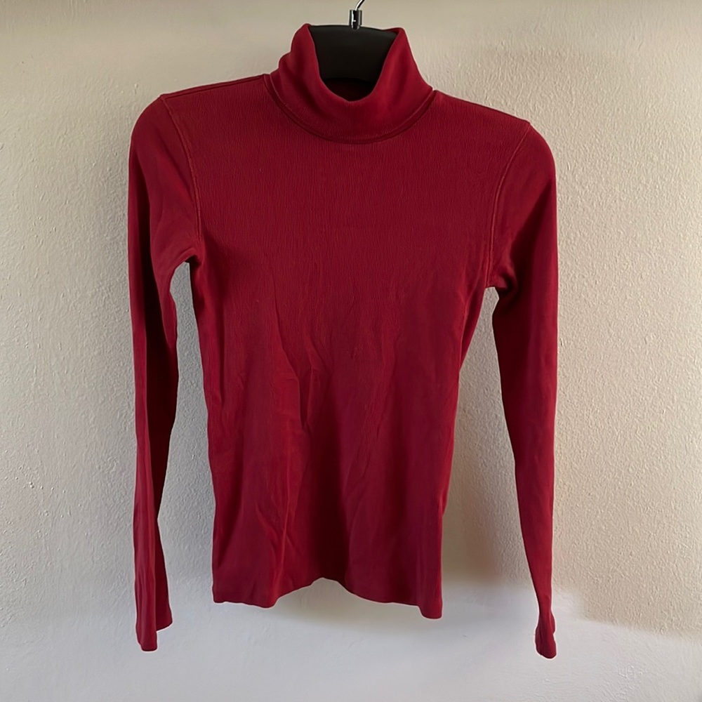 Everlane Ribbed Turtleneck Long Sleeve XS EUC